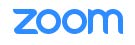 Zoom Logo